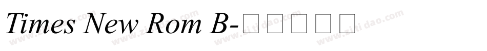 Times New Rom B字体转换